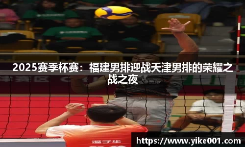 2025赛季杯赛：福建男排迎战天津男排的荣耀之战之夜